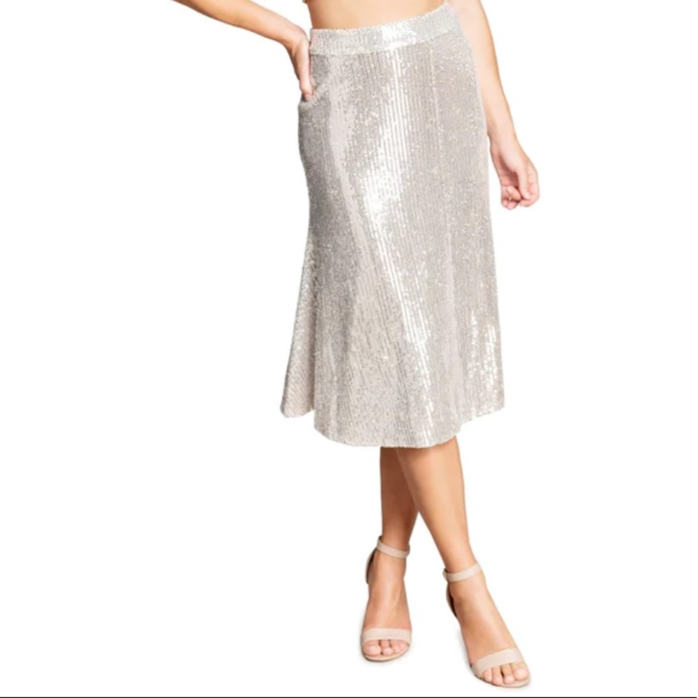 Dress the Population Skye Skirt